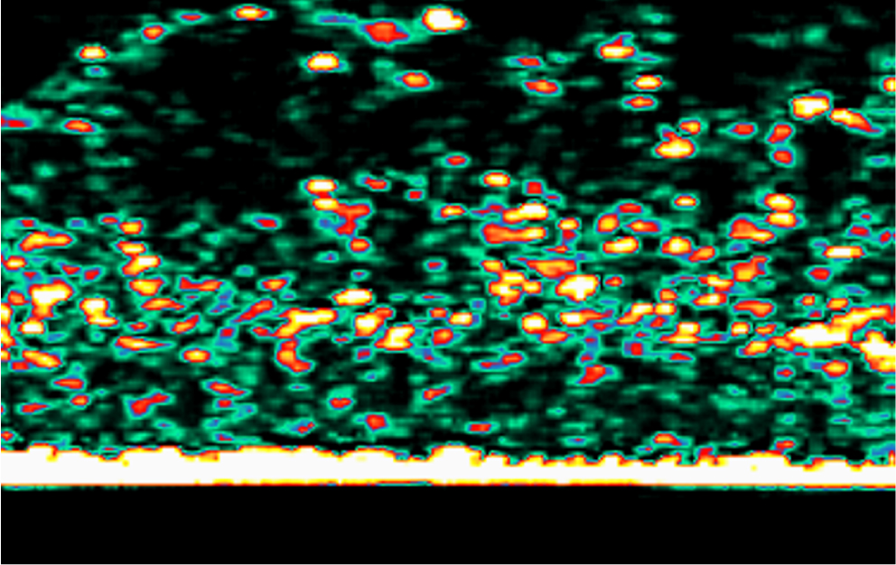Ultrasound Results BioSC Ampoule